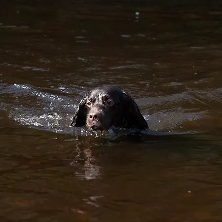 Pepper Pot * Knaresborough
