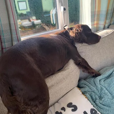 Pepper Pot Knaresborough